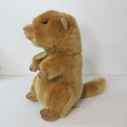 Marmot Plush Toy