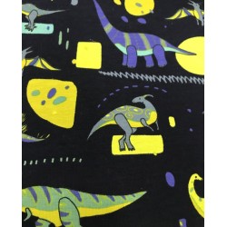 Dinosaur Pattern Kid T-shirt