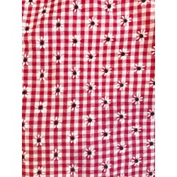 Red gingham Pattern Queenie Dress